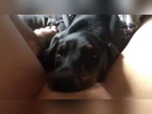 Animal derision: Women succumb to savagery