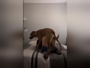 Animal orgies: blonde teenager raped by her dog