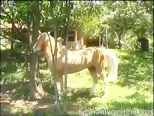 Horse Milly 1: An Unforgettable Bestial Experience