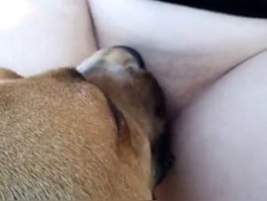 Sexual Escandal: Spanish Debauchery and Bestiality