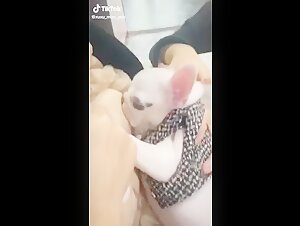 Asian woman and her dog