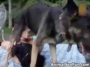 Zoohund: Eine Geschichte aufregender Bestialitat