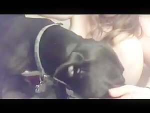 Are you looking for more videos of this woman with a dog?
