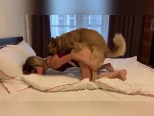 Russian Pussy Power, Canine Pleasure Guaranteed