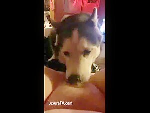 Intimate Moment with Man's Best Friend