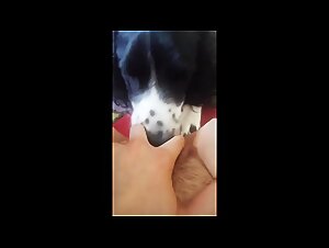 Slut offers herself to a dog