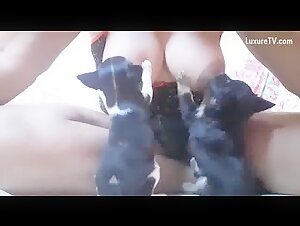 Woman and puppies: a beastly encounter