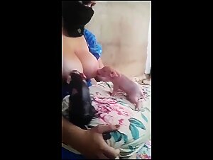 Human-animal sex: is it safe?