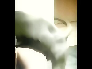 Amateur compilation