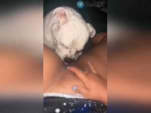 Bestiale enjoyments: animal and intense eros