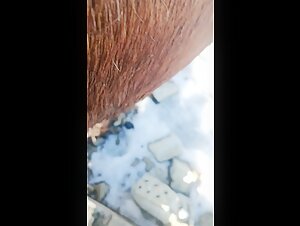 Wife fucks a mare and cums inside