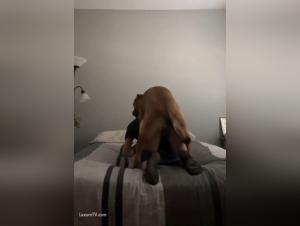 Teenage canine bestiality
