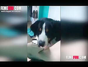 Adorable teen and her dog in beastly video