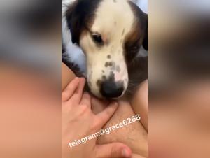 Forbidden Delights: The Obsessive Licking of Dogs
