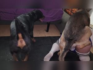 Obscure Delights: Extreme Gay Female-Dog Sex