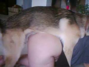 Dark Desires: Secret Friends and Animal Fuck