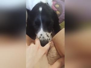 The little bitch pampers her tamer, slow and steady...