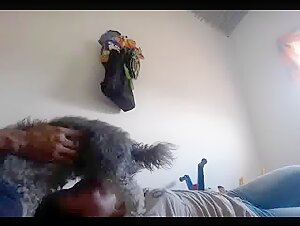 Blowjob and facial cumshot with dog