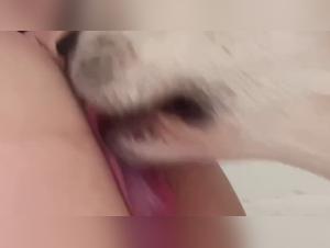 Prohibited delights: blonde bestiality and canine cruelty