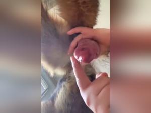 Handjob prohibits: the mother defies the limits