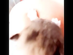 Breastfeeding Puppy 7: An Exciting Experience