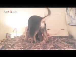First Experience with a Dog