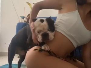 Zoophilia Extreme: Teens & Animals