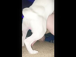 Beautiful teenage girl discovers fun with her dog