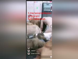 Chinese zooporno: the bestial vice of a woman