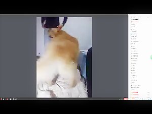 Woman and dog: a forbidden relationship