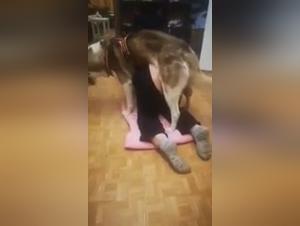 Unworthy Zoophilia: The Dog Master of Female Submission