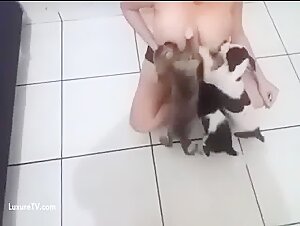 Woman and Dog: A Forbidden Meeting
