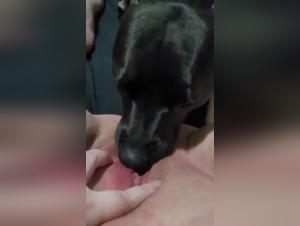 Bestial Desire: Urine, Power and Canine Passion