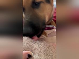 Wild Delights: Dog and Girl in Fusion