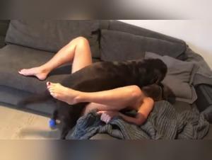 Zoofilia grave: el perro toma el control