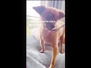 Woman and her dog, an unexpected encounter