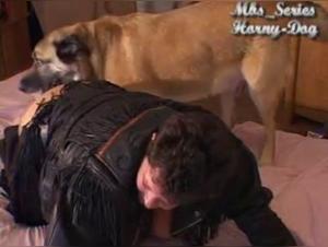 Zoophilia Hardcore: Dog Devours Desired Slut