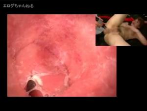 Extreme Bestiality: Anal Exploitations Live