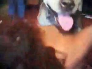 Delights Hungary: Doggy Fuck Slut Hardcore