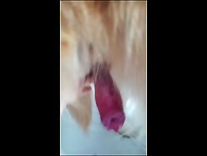 The Slut Fucks Her Dog