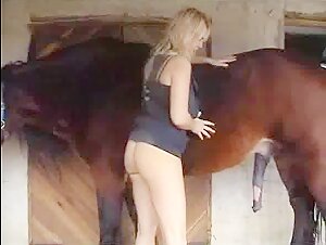 My Horse Part 5