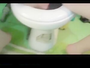 Giant fish mates with woman in toilet