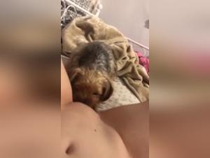 Canine Delights: Demonic Lick