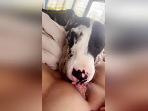 Wild canine orgasms