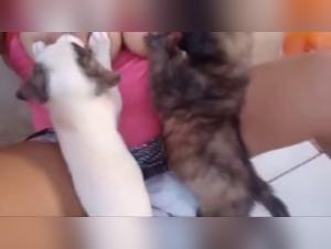 Wild Lactant: A Dog's Obsession with a Slut's Milk