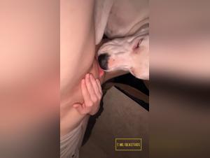 Canine Obsession: Fetish Delights and Intense Licking
