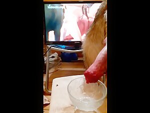 My Dog 4