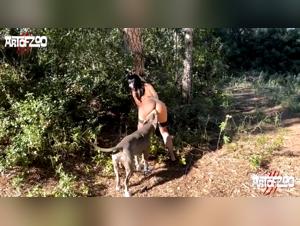 Animal Porn, Best Tube: Slut sucks our dog