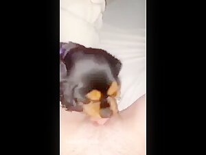 Dog charmer satisfies a woman