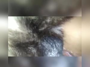 Salacious Revealings: Blonde and Dog in a Sensory Orgy
